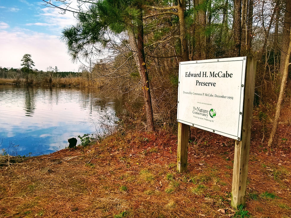Edward H. McCabe Preserve