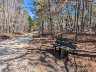 A wooden bench on the side of a dirt road surrounded by trees