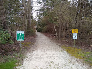 a gravel path leading into the woods