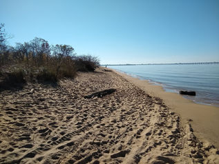 a sandy beach with lots of footprints