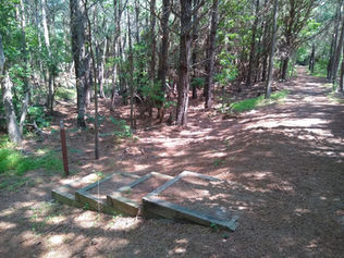 Wooden steps in the woods