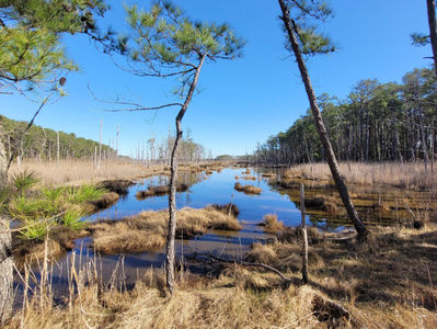 Hidden Hiking Trails on Maryland's Eastern Shore