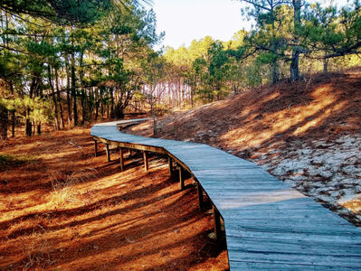 Best Boardwalk Trails of Virginia's Eastern Shore
