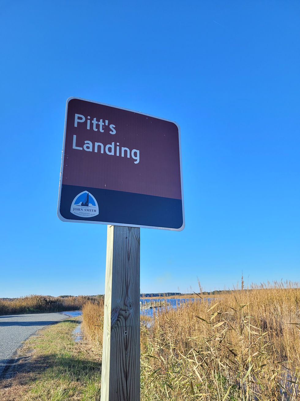 a sign that says "pitt's landing" is on a post next to a boat ramp and wetland grass