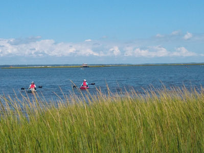 Exploring Delaware Seashore State Park’s Water Trails