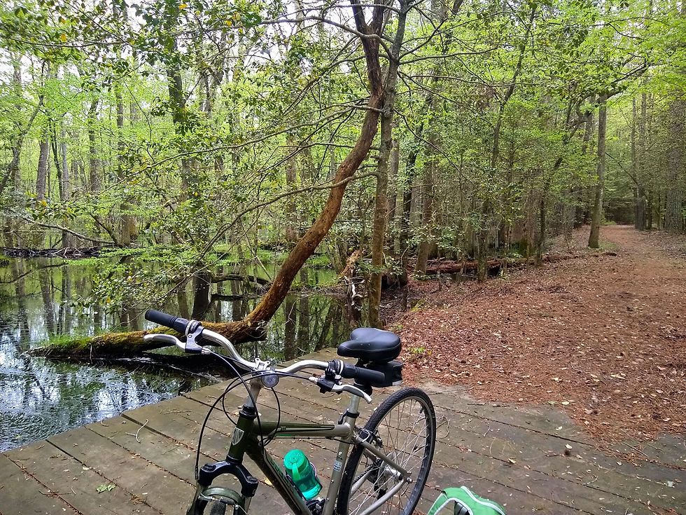 a bike stands on a boardwalk bridge over a narrow creek in a wooded area