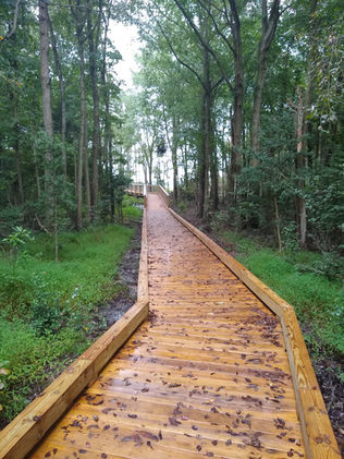 A wooden boardwalk leads through some trees