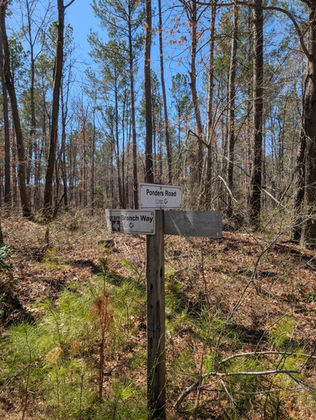 A trail marker showing the intersection of 2 trails in the woods