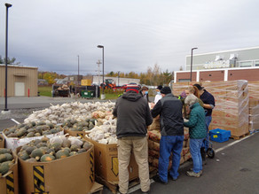 Wednesday Guest Blogger: From the eyes of a Community Volunteer