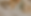Untitled design (7).png