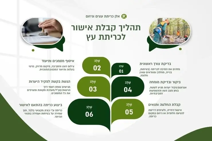 תהליך קבלת קישור לכריתת עץ