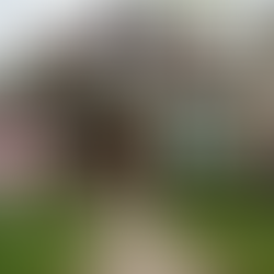 Discover Foreclosure Properties in Chicago Area