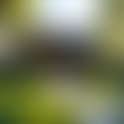 Top Homes for Sale in Chicago's Real Estate Market