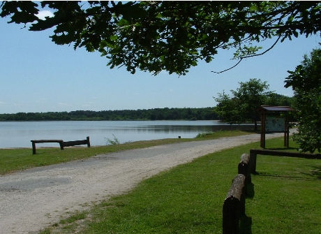 a Lake