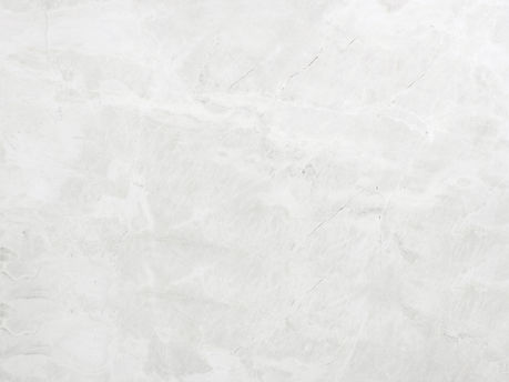 62-white-dolomite Marble India IO.jpg