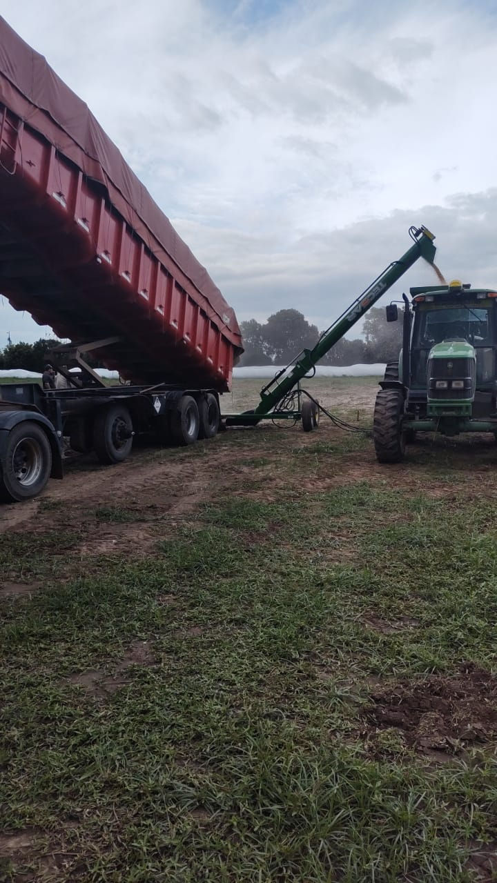 Miniatura: Batea Cargadora TECSAR BTC-300