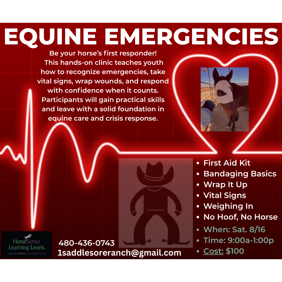 Equine Emergencies Clinic