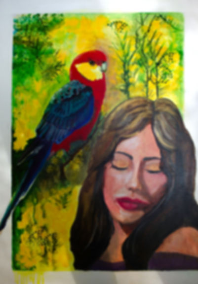"Song of the Rosella"