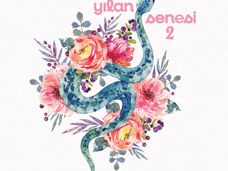 2025 Ağaç Yılanı Yılında Ateş Elementinin Anlattıkları