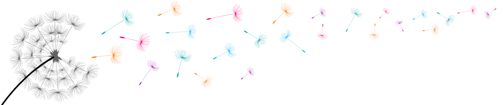 dandelion_banner_edited_edited.png