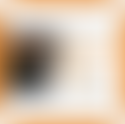 Una vida en las bibliotecas