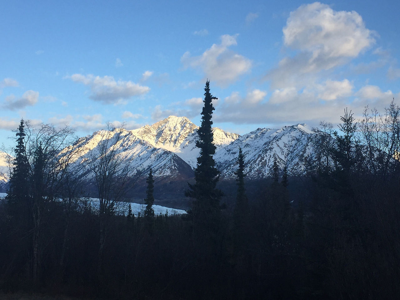 Morning view from my room