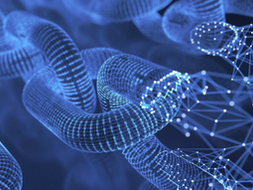 Blockchain: In a Nutshell