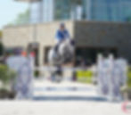 1132-448_8071_edited.jpg