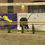 Thumbnail: NR 63 Jumping My Precious (Million Dollar x Clarimo)