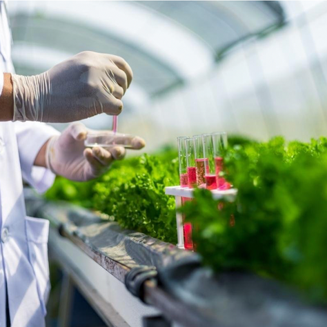 The51 Food and AgTech General Partnership Close $30M For Agtech Fund