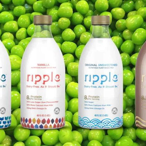 Ripple Foods on a bed of peas