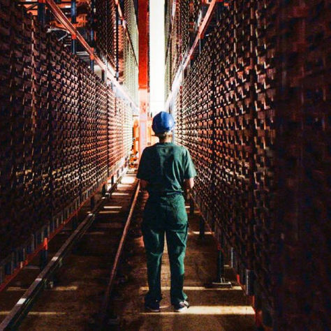 Ÿnsect Fights for Survival: Restructuring, Safeguarding, and the Race for New Funding 