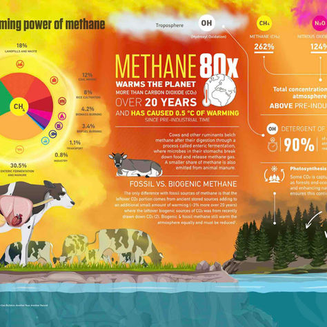 Unmasking Emissions: How the Meat Industry Could Use GWP Metric to Greenwash Its Climate Impact