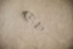 selective focus photography of foot print_edited.jpg