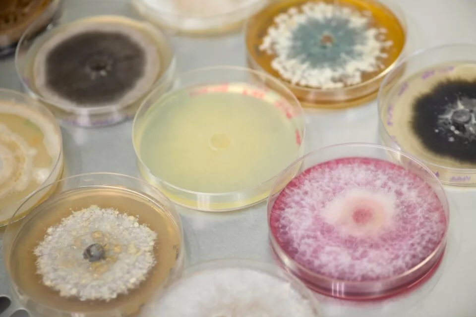 Microbial Rostock Jord BioScience Secures Series B Funding to Drive Next-Generation ...