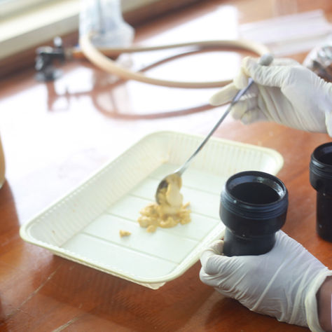 The Milken Institute, Motsepe Foundation Announce Prize Winners  in Agtech