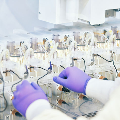 Ambrosia Bio and Ginkgo Bioworks Partner to Enhance Allulose Production for Alt Sugar  Industry