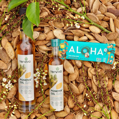 Pioneering Sustainability: ALOHA and Terviva’s Collaborative Venture with the New Pa'akai Bar