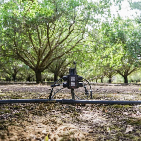 Scaling Sustainable Farming: NEC X Invests in Verdi Expeditions