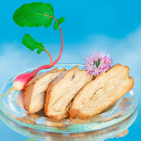 ADM  and Air Protein Sign Strategic Partnership to Develop and Produce  Landless Proteins
