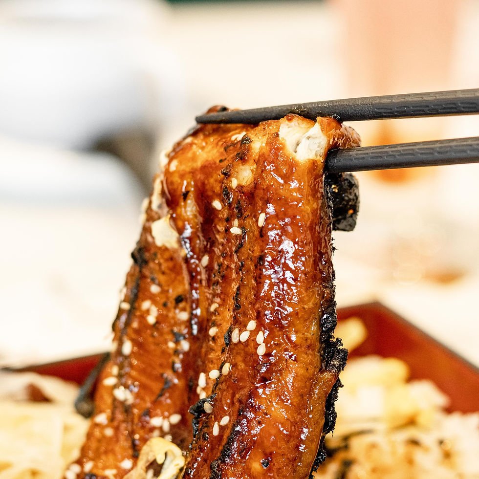 魔法咪嚕寵物咖啡館