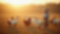 Home-Welcome-1.jpg