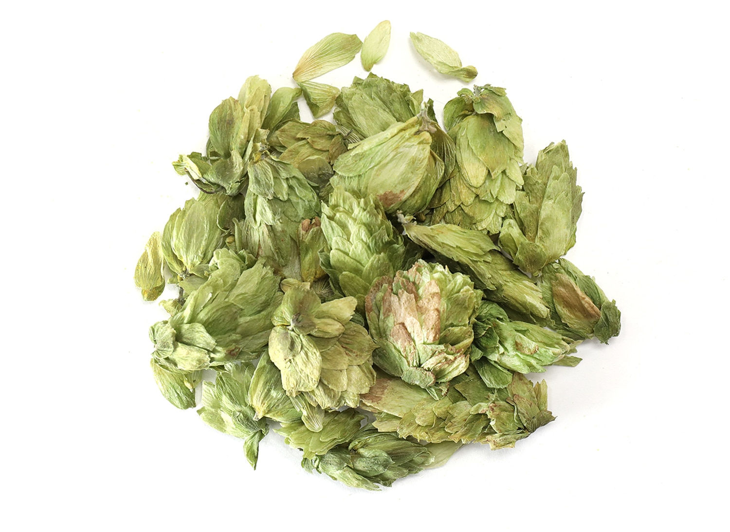 حشيشة الدينار 100جرام