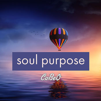 soul purpose