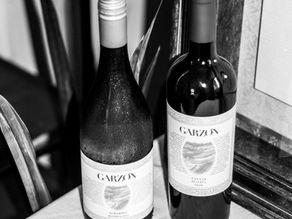 Bodega Garzón: para tener en la mira.