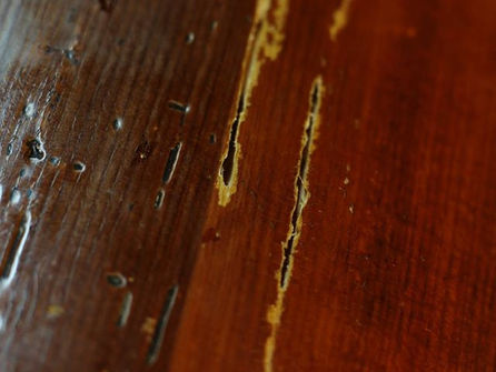 どう考えても、売り手の責任