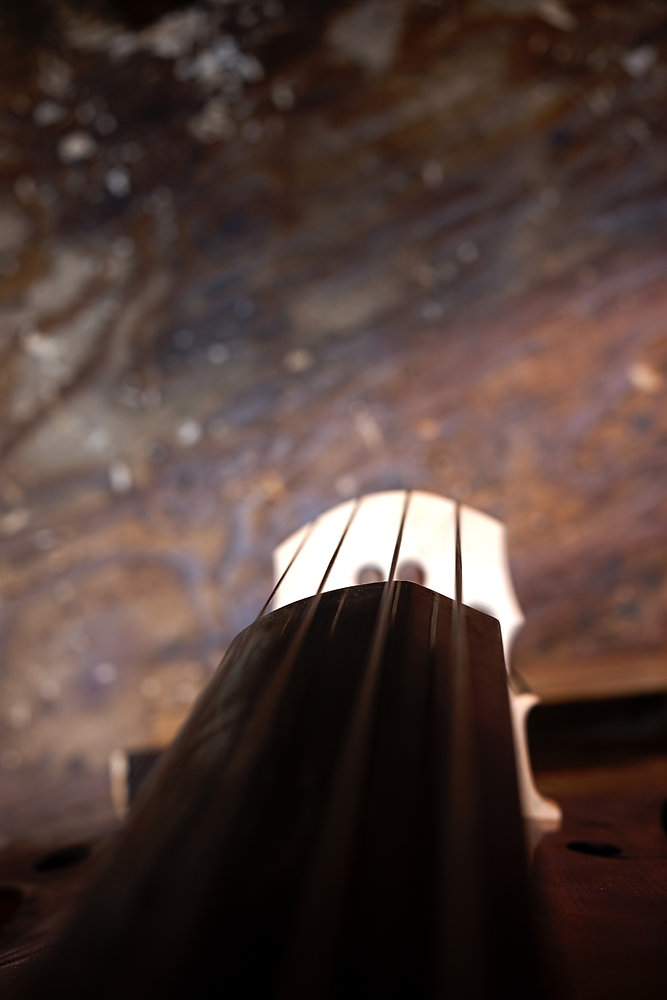 コントラバス ガット弦 Gamut A線 コントラバス ガット弦 Gamut A線 【公式通販】