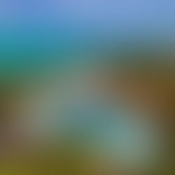 S'envoler à Zanzibar pour le séminaire Schwarzkopf 