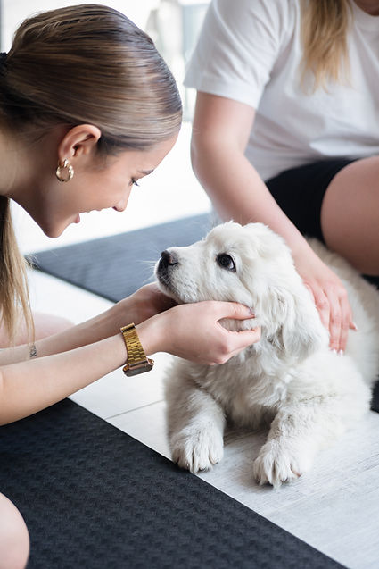 puppy yoga, joga ze szczeniaczkami, joga z psami, puppy joga, joga z pieskami