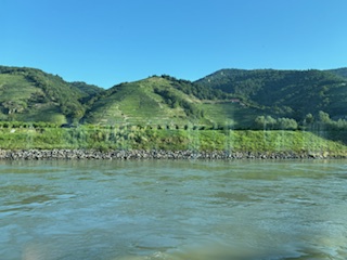 Vineyards off the Danube River